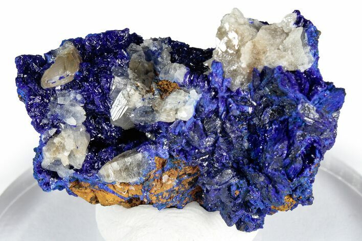 Cerussite Crystals on Sparkling Azurite - Congo #348524